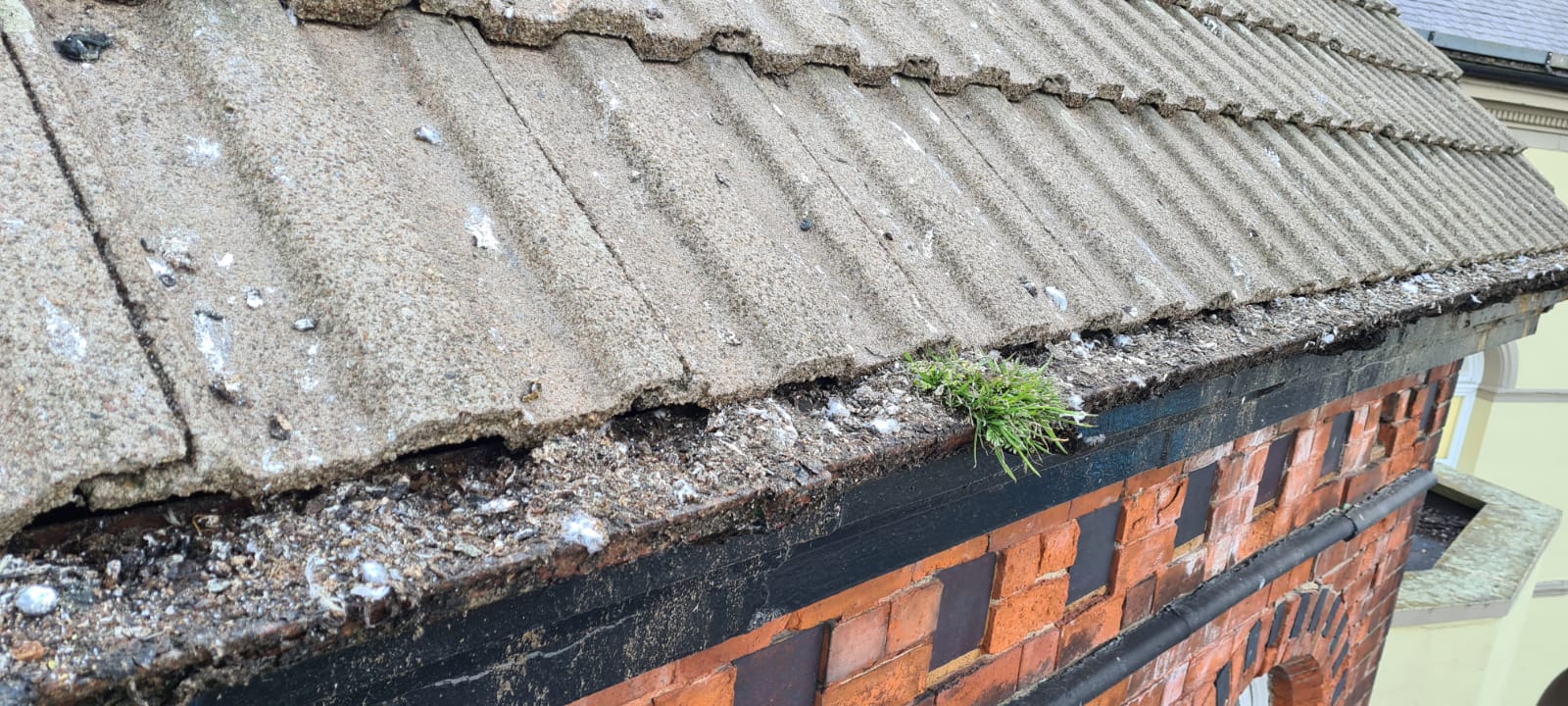 View of a blocked gutter